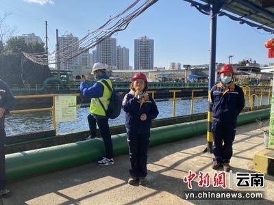 西南銅業開放環保成果，市民見證廢水養錦鯉、餐廚垃圾變資源